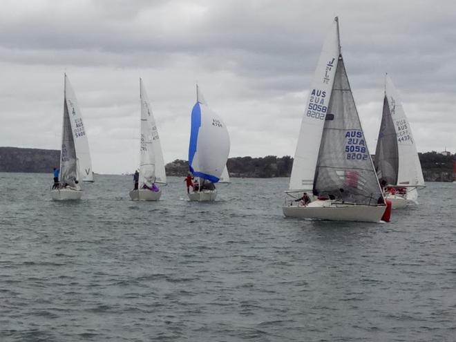 2017 NSW J24 Championships - Day 2 © Mick Reynolds