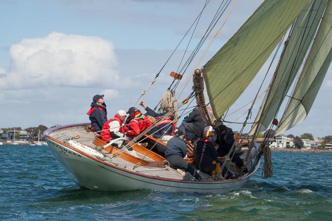 Last year’s winner of the event, Sayonara, enjoying the breeze as she make her way to start area before the first race. - Classic Yacht Association Cup Regatta ©  Alex McKinnon Photography http://www.alexmckinnonphotography.com
