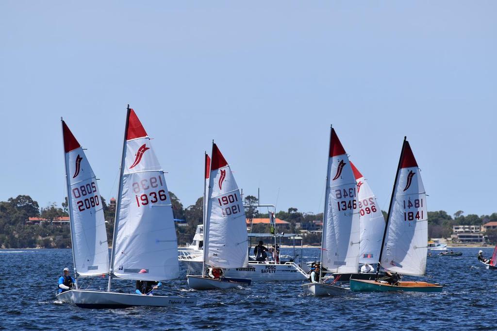 2017 Perth Waters Coaching Regatta © Chelsea Baker