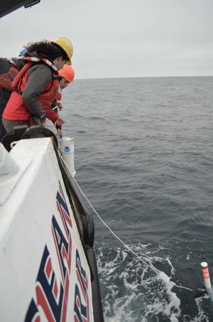 Crew deploying Drifting Autonomous Spar Buoy Recorders photo copyright NOAA Fisheries taken at  and featuring the  class