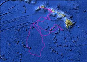 Scientists will be able to tap into data streams from JPSS-1 to understand the environmental conditions where tagged species live and travel photo copyright  NOAA taken at  and featuring the  class