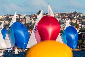 Etchells Milson Goblets colours photo copyright  Andrea Francolini Photography http://www.afrancolini.com/ taken at  and featuring the  class