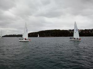 2017 NSW J24 Championships - Day 2 photo copyright Mick Reynolds taken at  and featuring the  class