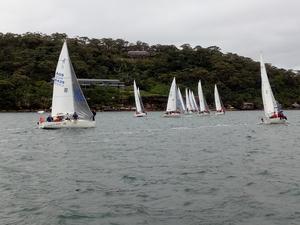 2017 NSW J24 Championships - Day 2 photo copyright Mick Reynolds taken at  and featuring the  class
