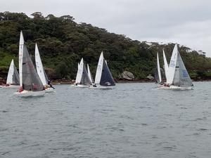 2017 NSW J24 Championships - Day 2 photo copyright Mick Reynolds taken at  and featuring the  class