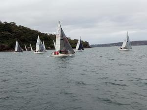 2017 NSW J24 Championships - Day 2 photo copyright Mick Reynolds taken at  and featuring the  class