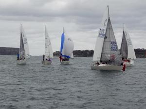 2017 NSW J24 Championships - Day 2 photo copyright Mick Reynolds taken at  and featuring the  class
