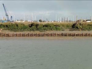 Harbour Dredging and Salt Marsh Restoration programme photo copyright  Exo Environmental Ltd taken at  and featuring the  class