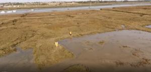 Harbour Dredging and Salt Marsh Restoration programme photo copyright  Exo Environmental Ltd taken at  and featuring the  class
