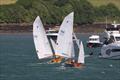 Salcombe Yacht Club Summer Series Race 1 © L. Burn