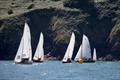 Salcombe YC Summer Series race 4 © Lucy Burn