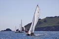 Salcombe YC Summer Series race 4 © Lucy Burn