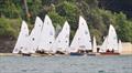 Salcombe Yacht Club Sailing Club Series Race 3 &copy; Lucy Burn