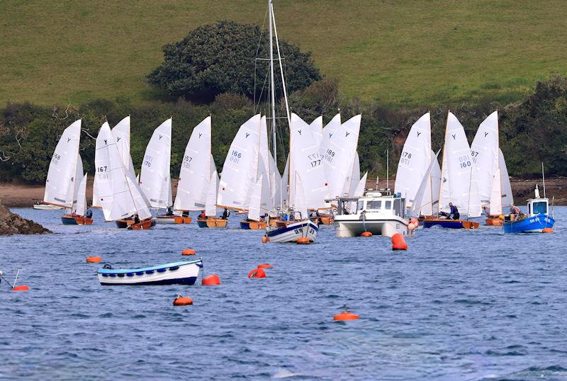 Hassall Law Salcombe Yawl Open photo copyright Lucy Burn taken at Salcombe Yacht Club and featuring the Salcombe Yawl class