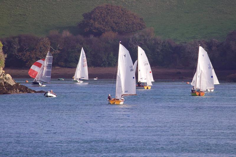 Salcombe Yacht Club Winter Series Race 3 photo copyright Lucy Burn taken at Salcombe Yacht Club and featuring the Salcombe Yawl class