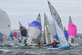 The Scorpions are returning to Penzance for the 2025 Nationals