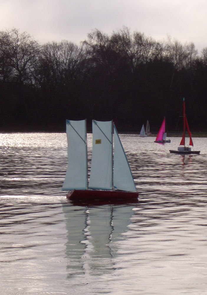 Craft of all shapes and sizes for the 2005 Setley Cup junior model yacht race near Lymington photo copyright Mark Jardine taken at  and featuring the Setley Cup class