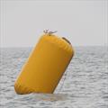 Two Terns around a buoy! British Sharpie Championships at Brancaster Staithe © James Case 