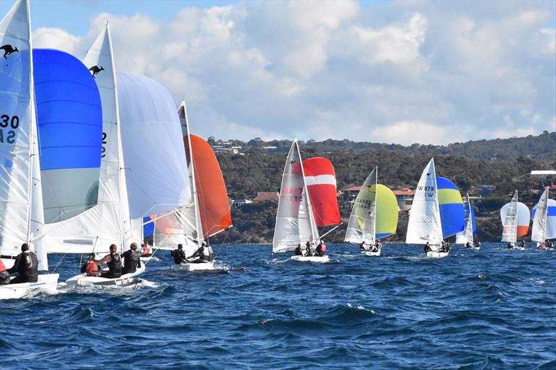 SA Summer of Sail Launch Regatta photo copyright Harry Fisher taken at Brighton & Seacliff Yacht Club and featuring the Sharpie class