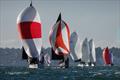 Stan the Boat - Hamble Winter Series 2025 Race Week 8