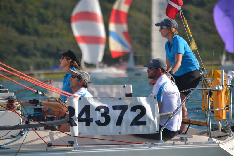 The Sigma 33 class is celebrating its 40th anniversary in 2019 photo copyright Sigma 33 class taken at Royal Dart Yacht Club and featuring the Sigma 33 class