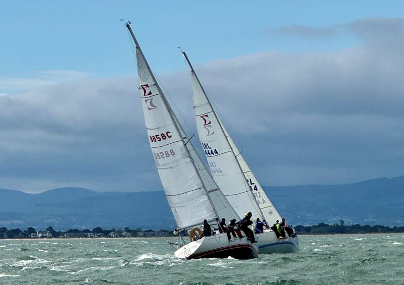 Sigma 33 Offshore One-Design Class Championship 2025 photo copyright Karolina Badz taken at Howth Yacht Club and featuring the Sigma 33 class