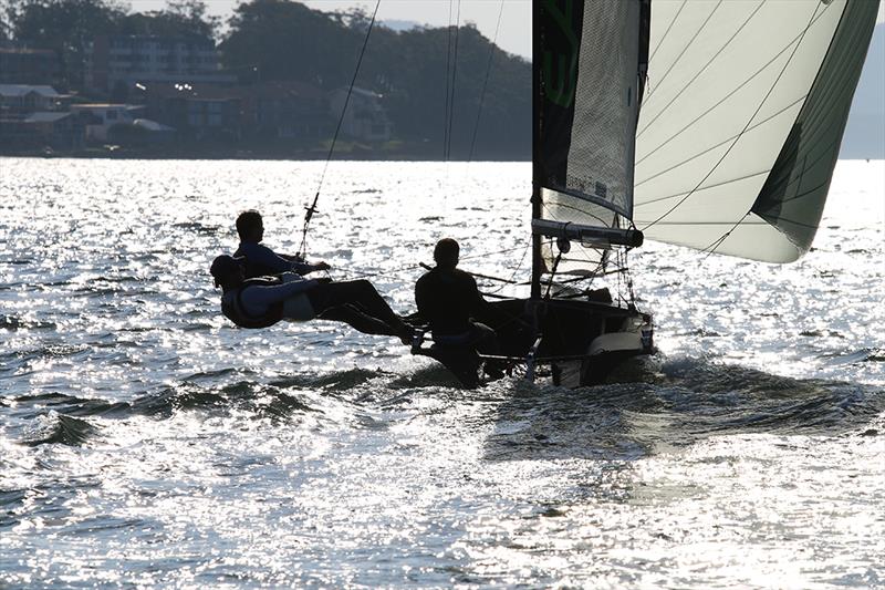 16s in sun - Sailfest Newcastle Regatta photo copyright Mark Rothfield taken at Port Hunter 16ft Sailing Club and featuring the 16ft Skiff class