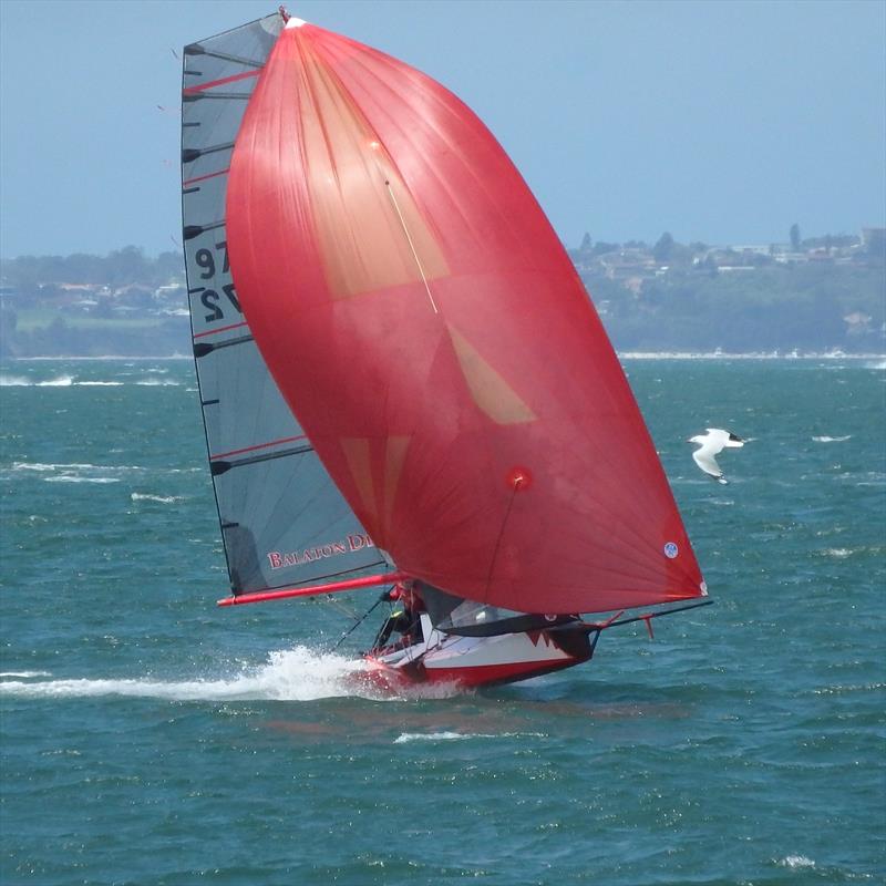 64th Skate National Championship photo copyright Les Henn taken at St George Sailing Club and featuring the Skate class