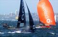 Balmain challenges the champion Andoo at the JJs © Frank Quealey