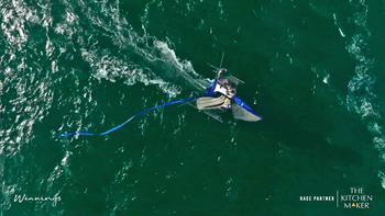sailboat vs kayak right of way