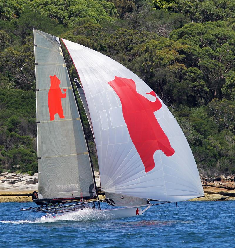 Bird and Bear showed good form during 18ft Skiff NSW Championship Race 5 photo copyright Frank Quealey taken at Australian 18 Footers League and featuring the 18ft Skiff class