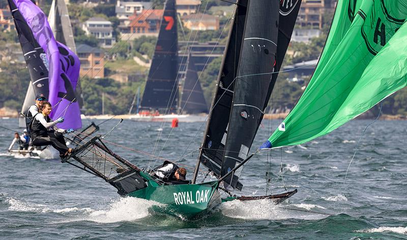 The Oak Double Bay-4 Pines - 2024 JJ Giltinan Championship photo copyright SailMedia taken at Australian 18 Footers League and featuring the 18ft Skiff class