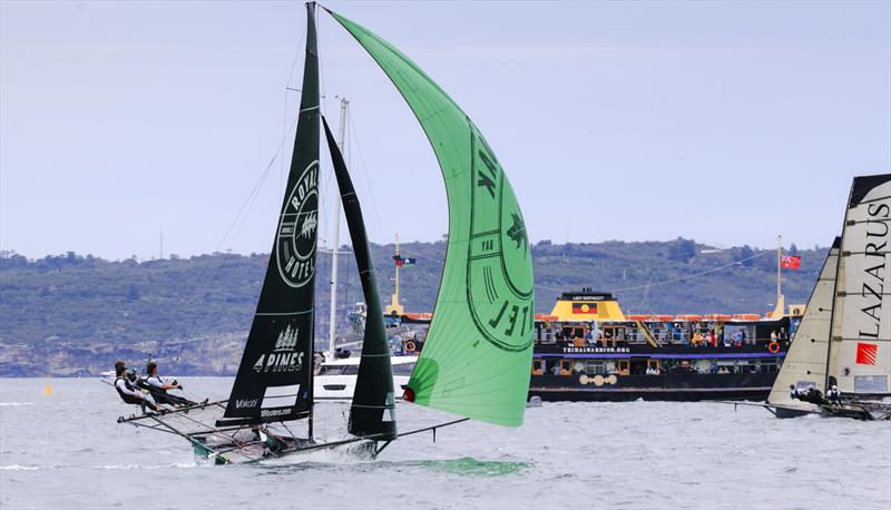 Spectators get a close up view of the racing last Sunday  photo copyright SailMedia taken at Australian 18 Footers League and featuring the 18ft Skiff class