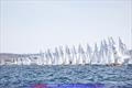 Snipe Europeans 2025 at Vilamoura, Portugal Final Day © Prow Media