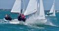 60th Annual Don Q Rum Snipe Regatta &copy; Coconut Grove Sailing Club