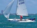 60th Annual Don Q Rum Snipe Regatta &copy; Coconut Grove Sailing Club