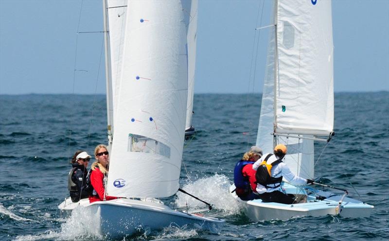 2019 Snipe North American Championship photo copyright San Diego Yacht Club taken at San Diego Yacht Club and featuring the Snipe class