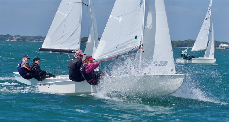 60th Annual Don Q Rum Snipe Regatta photo copyright Coconut Grove Sailing Club taken at Coconut Grove Sailing Club and featuring the Snipe class
