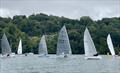 Solo class on day 4 of the Dartmouth Royal Regatta 2022 - Pilot Financial Dinghy Series © Theresa Ballard