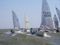 Epic conditions on Solo Nation's Cup at Medemblik Day 2 © Will Loy