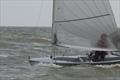 Tom Gillard was third overall - Solo Nation's Cup at Medemblik - Day 3 © Will Loy
