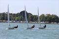 Solo open meeting at Chichester © Mark Perrow
