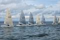 HD Sails Solo class Scottish Championships at St Andrews © Tony Drumbreck