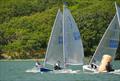 Solo Centenary Open Meeting at Dell Quay © John Rogerson