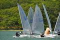 Solo Centenary Open Meeting at Dell Quay © John Rogerson