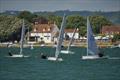 Alex Butler leads up the beat - Solo Centenary Open Meeting at Dell Quay © John Rogerson