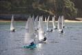 Salcombe Yacht Club Winter Series Race 3