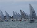 Noble Marine Solo Nation's Cup 2026 at Quiberon, France &copy; Will Loy