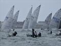 Noble Marine Solo Nation's Cup 2026 at Quiberon, France &copy; Will Loy