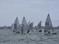 Noble Marine Solo Nation's Cup 2026 at Quiberon, France &copy; Will Loy